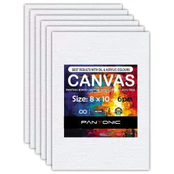 6 Pieces 8 x 10 Inch, Medium Size Canvas Boards for Painting
