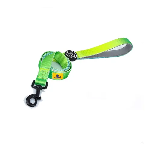 Image of A+a Pets' Nylon Waterproof Leash | Neoprene Padded Handle 
