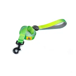 A+a Pets' Nylon Waterproof Leash | Neoprene Padded Handle for Dogs & Cats (Gradient Design, Small, Green/Blue)