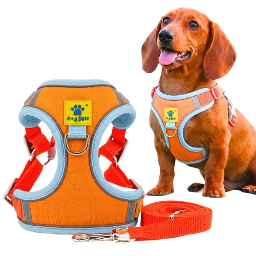 Image of A+a Pets' Suede Harness & Leash Set 
