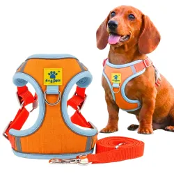 A+a Pets Suede Harness & Leash Set 