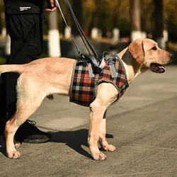 A+a Pets' Multi Function Training Dog Lift Harness | Lightweight with All Around Support (L, Orange)