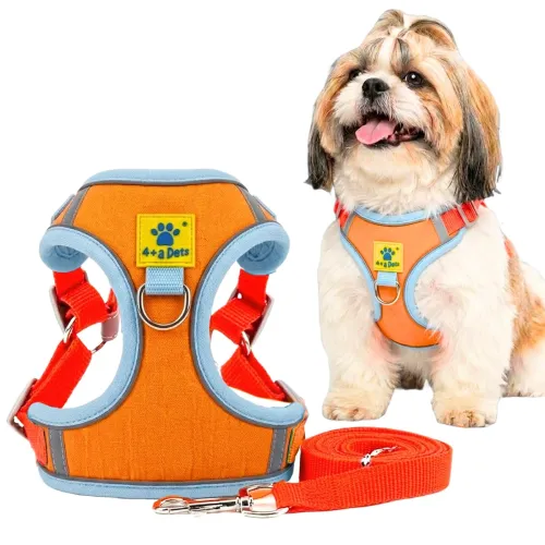 Image of A+a Pets Suede Harness & Leash Set L Orange