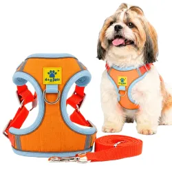 A+a Pets' Suede Harness & Leash Set for Cats, Small Dogs | Escape Proof | Night Safety Reflective Strips | 2 Leash Points (L, Orange)