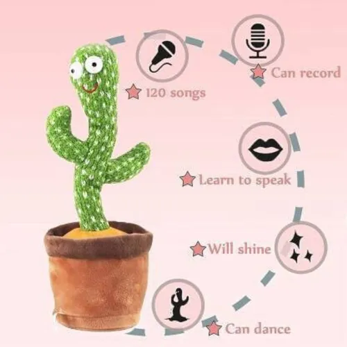 Image of abundance Cactus Toy