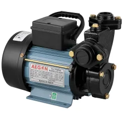 AEGON 1HP Self Priming Monoblock Water Pump 220V Single Phase Pump