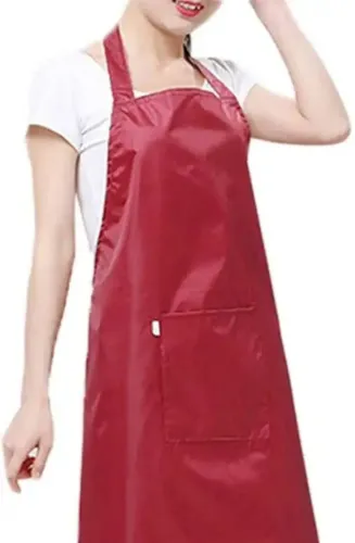 Image of AIKOZIYA PVC Home Use Apron - Free Size