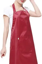 AIKOZIYA PVC Home Use Apron - Free Size