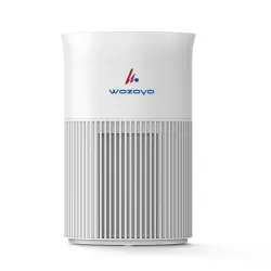 Air Purifier 110 m³/h CADR (Covers 202 Sq. Ft)