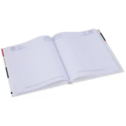 Amazon Basics 2025 New Year Dated Diary (Set of 2)