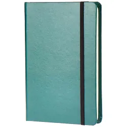 amazon basics Classic Notebook, Plain - (130mm x 210mm) - 240 pages (Green)