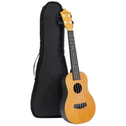 Amazon Basics Concert Size Ukulele Kit, Nylon Strings for warm, mellow and bright tones | Basswood Body | ABS back | Mat