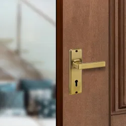 amazon basics Door Handle for Main Door