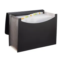 Amazon Basics Expanding File Folder with 13 Pockets, Letter Size