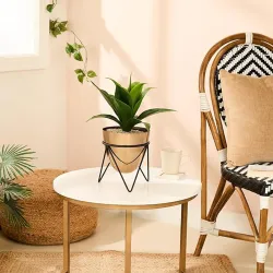 amazon basics Metal Planters with Stand (Pack of 1) 