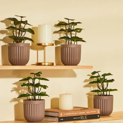 Image of amazon basics Plastic Artificial Plants with Pot| Realistic Look|Durable Construction|Versatile Use|No Maintenance|Home 