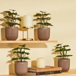 amazon basics Plastic Artificial Plants with Pot| Realistic Look|Durable Construction|Versatile Use|No Maintenance|Home 