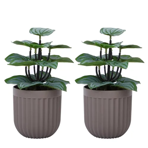 Image of Amazon Basics Realistic Looking Set of 2 Artificial Striped Leaves Plants
