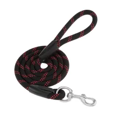 Amazon Basics Nylon Rope Dog Leash (4 ft, Black)