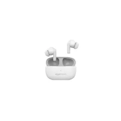 Amazon Basics True Wireless in-Ear Earbuds
