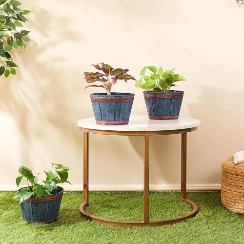 Image of Amazon Brand- Solimo 8Inch Planter Pot 