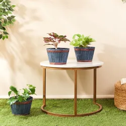 Amazon Brand- Solimo 8Inch Planter Pot 