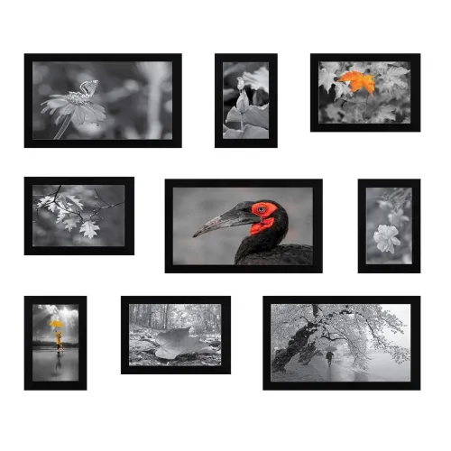 Image of Amazon Brand Solimo 9-Piece Black Photo Frame Set