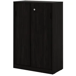 Amazon Brand - Solimo Aquilla Engineered Wood  Storage Unit with 2 Door