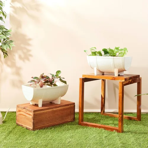 Image of Amazon Brand- Solimo Indoor and Outdoor Flower Planter Pot