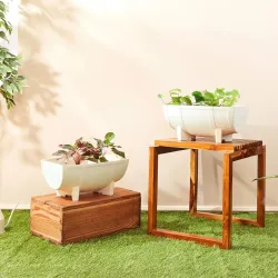 Amazon Brand- Solimo Indoor and Outdoor Flower Planter Pot