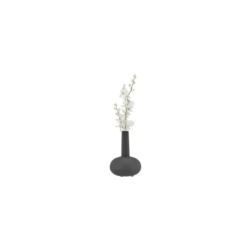 Image of Amazon Brand - Solimo Flower Vase 