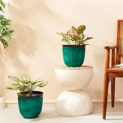 Amazon Brand- Solimo Indoor and Outdoor Round 10 Inch Athens Flower Planter Pot