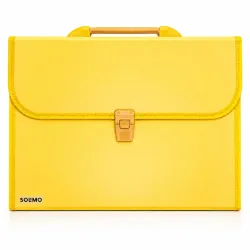 Amazon Brand - Solimo Plastic Expanding File Folder with 13 Pockets, Handle