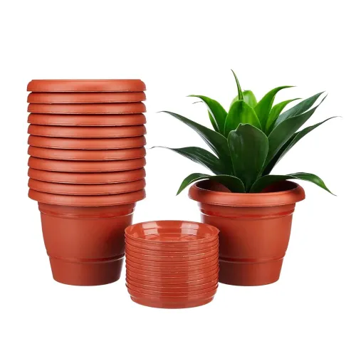 Image of Amazon Brand - Solimo Round Pots for Plants with Bottom Tray| Lightweight|Indoor and Outdoor Flower Pot for Home/ Office