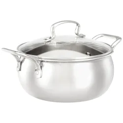 Amazon Brand - Solimo Triply Handi 20 cm with Glass Lid