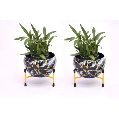 Image of Amazon Brand - Solimo Tripod Stand | Set of 2
