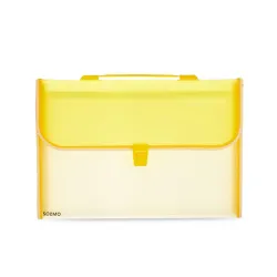 Amazon Solimo Expanding File Folder with 13 Pockets