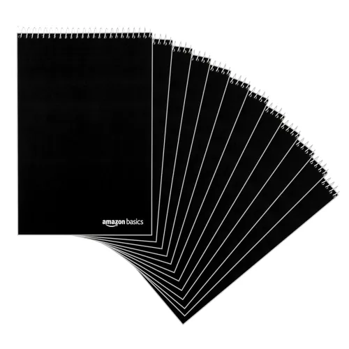 Image of AmazonBasics Gregg Rule Steno Books – 12-Pack