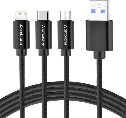 Image of Ambrane 1.25m Type-C Charging Cable