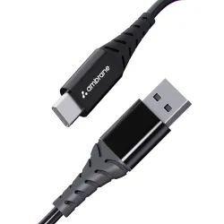 Ambrane 60W / 3A Fast Charging Output Type C