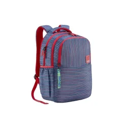 American Tourister 3 Compartment School Backpack 