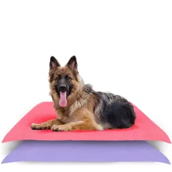 AMORITE Reusable Washable Dog Pee Mats 140 X 100 Salmon Rose + Violet Pack of 2 (Large) | Waterproof Dog Training Pads |