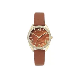 Anne Klein Analog Brown Dial Womens Watch - AK3242BMBN