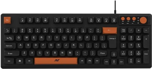 Image of Ant Master 01 Wired USB Standard Desktop Keyboard Compatible with Desktop, Laptop (Black)