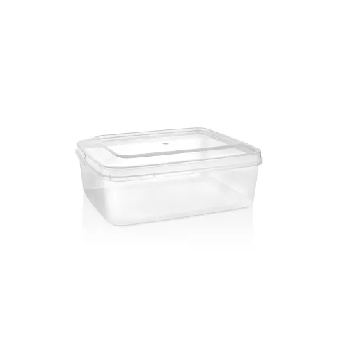 Image of Aristo 222 Kitty Plastic Container So12