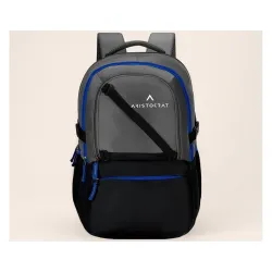 Aristocrat Hype 33L Laptop Backpack (Upto 17inch), 2 Compartments, Grey