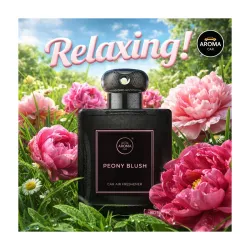 Aroma Car Perfume Hanging Car Air Freshener (Pack of 3)