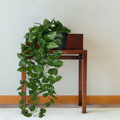 Image of Artificial Creeper Money Plant Garland 