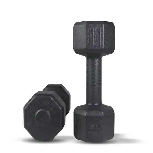 Image of ARTINO 1Kg Pair Hexa PVC Dumbbells Set 