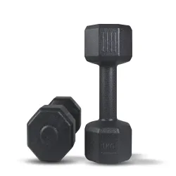 ARTINO 1Kg Pair Hexa PVC Dumbbells Set For Home Gym, Exercise & Fitness Dumbbell (Black) Fixed Weight Dumbbell (1Kg X 2PCS)